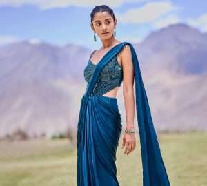 Saree Gown