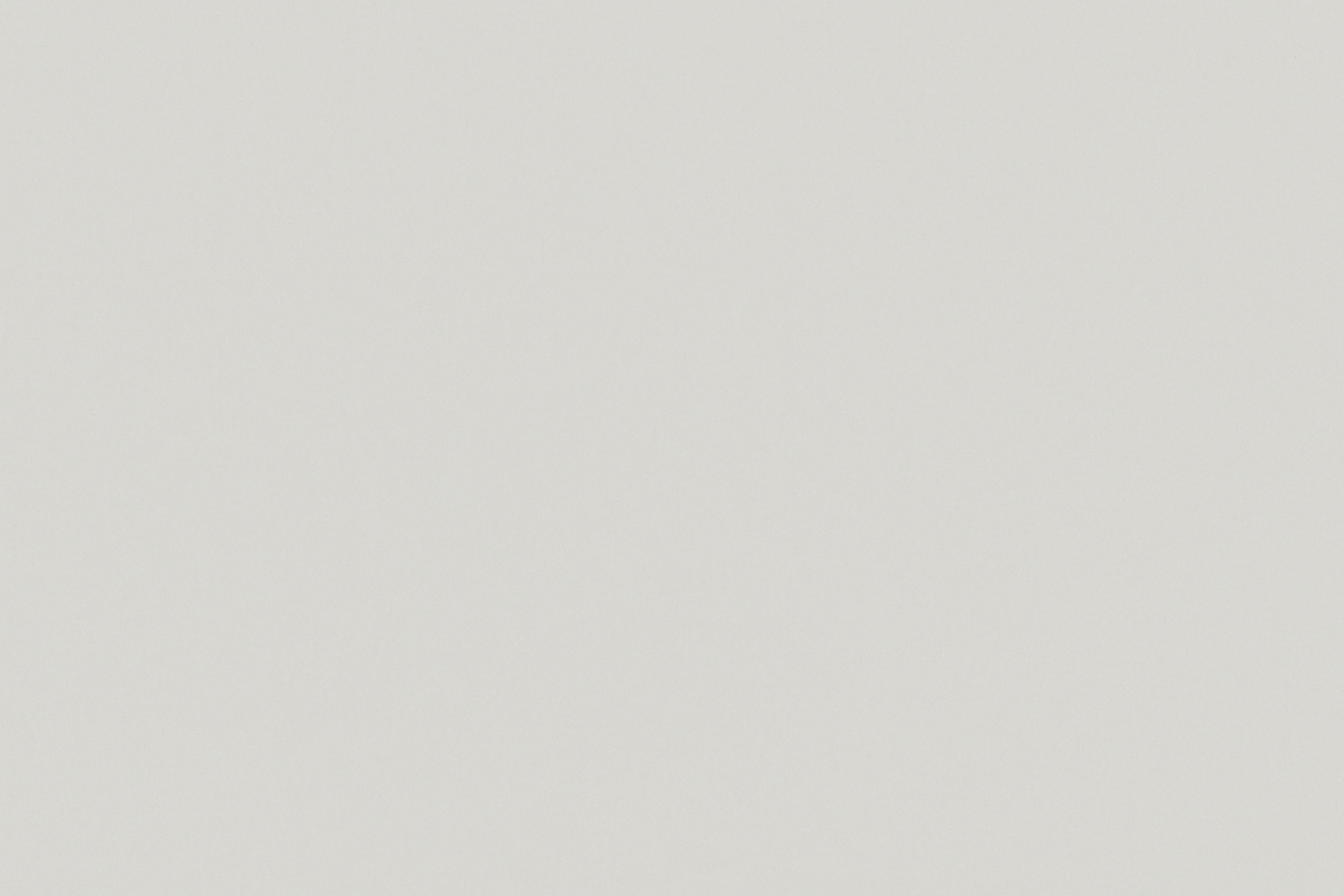 700*1000 light grey color image