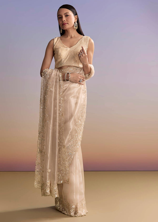 Beige Tissue Saree With Floral Embroidery And Beadwork