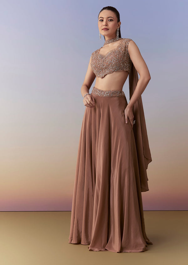Brown Embellished Crop Top Pant Set with Dupatta