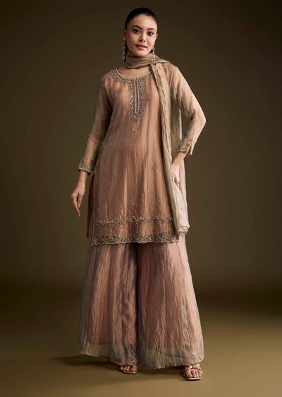 Brown Tissue Palazzo Suit With Sequins And Cutdana Embroidery