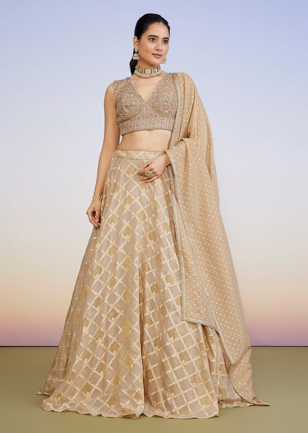 Gold And Blush Pink Organza Banarasi Lehenga