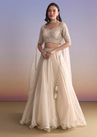 Ivory Organza Bridesmaid Lehenga With Sequins And Cutdana Embroidery