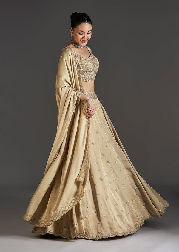 Beige Cut Dana And Sequins Embroidered Lehenga