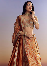Orange Banarasi Lehenga With Embroidered Choli And Dupatta