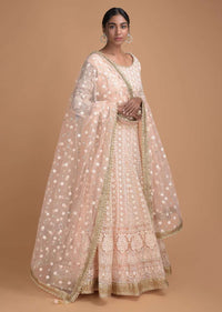 Powder Peach Lehenga Set In Lucknowi Thread Work And Embroidered Dupatta Online - Kalki Fashion