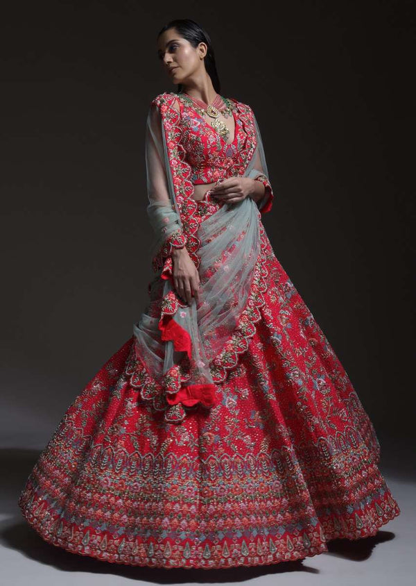 Carmine Red Heavy Embroidered Lehenga With Resham Embroidered Floral Vines And Heritage Border