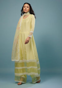 Daffodils Yellow Palazzo Suit In Viscose Silk