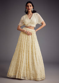 Off White Embroidered Pleated Skirt With Sheer Layered Croptop