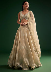 Gold Ivory Sequin Stone Work Choli Lehenga