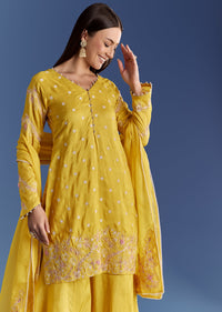 Ivory Silk Kurta Set With appliqua Organza Dupatta